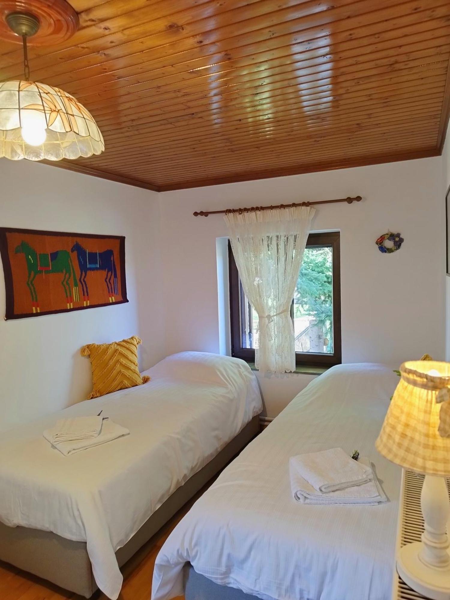 Cosy House, μια ανάσα πριν τη λίμνη Kalivia (Thessaly)