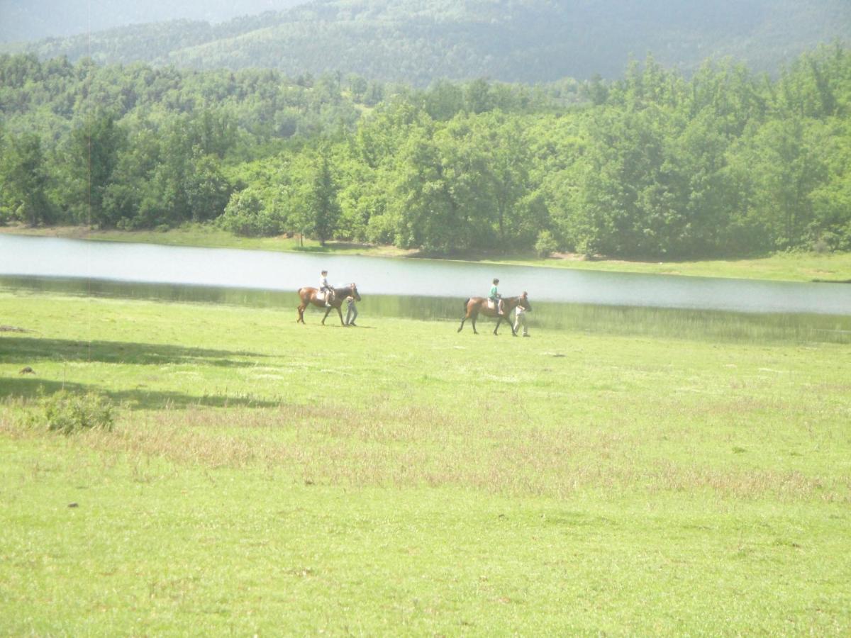 Cosy House, μια ανάσα πριν τη λίμνη Holiday home Kalivia (Thessaly)